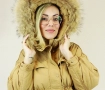 BRISA