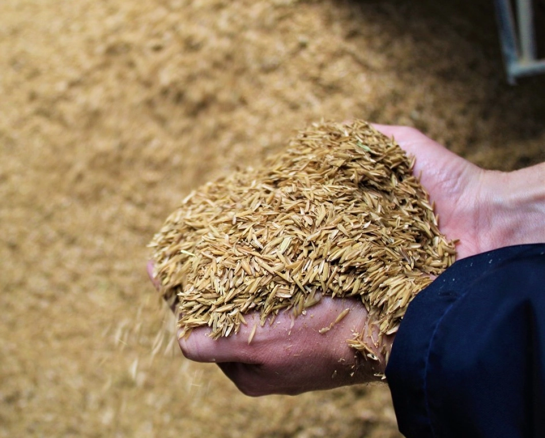 Responsabilidade Ambiental