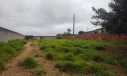 TERRENO - LOMBAS PEDREIRAS, IÇARA