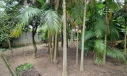 TERRENO, SANT'ANA-FORQUILHINHA