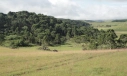 TERRENO - BOM JARDIM DA SERRA