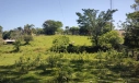 TERRENO - LOMBAS PEDREIRAS, IÇARA