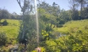 TERRENO - LOMBAS PEDREIRAS, IÇARA