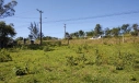 TERRENO - LOMBAS PEDREIRAS, IÇARA