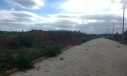 TERRENO, LOT. VILLA CECHINEL II - SÃO DEFENDE, CRICIÚMA