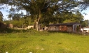 TERRENO - LINHA ANTA, CRICIÚMA