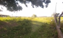 TERRENO - LINHA ANTA, CRICIÚMA