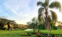 TERRENO, BOA VISTA - IÇARA