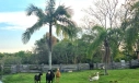 TERRENO, BOA VISTA - IÇARA
