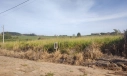 TERRENO NO LOT. CAMPO BELLO - LOMBAS PEDREIRAS, IÇARA