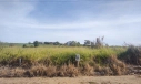 TERRENO NO LOT. CAMPO BELLO - LOMBAS PEDREIRAS, IÇARA