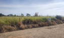 TERRENO NO LOT. CAMPO BELLO - LOMBAS PEDREIRAS, IÇARA