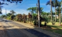 TERRENO, QUARTA LINHA - CRICIÚMA