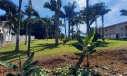TERRENO, QUARTA LINHA - CRICIÚMA