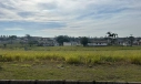 TERRENO, BAIRRO AURORA- IÇARA