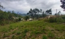 LOTE, VILA SÃO JORGE -  SIDERÓPOLIS
