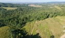 TERRENO - COCAL DO SUL - RIO GALO