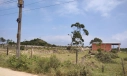 TERRENO - LAGOA DOS ESTEVES, BALNEÁRIO RINCÃO