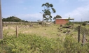 TERRENO - LAGOA DOS ESTEVES, BALNEÁRIO RINCÃO