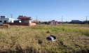 TERRENO - ZONAL SUL, BALNEÁRIO RINCÃO/SC