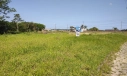 TERRENO - NASPOLINI, MORRO DA FUMAÇA