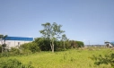 TERRENO - NASPOLINI, MORRO DA FUMAÇA