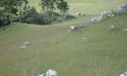 TERRENO - BOM JARDIM DA SERRA