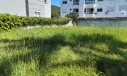 TERRENO - COND. ILHA DO ARVOREDO - FLORIANÓPOLIS 