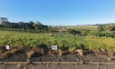 TERRENO - BOA VISTA - IÇARA