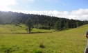 TERRENO - BOM JARDIM DA SERRA