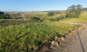 TERRENO - BOA VISTA - IÇARA