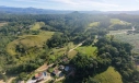 TERRENO - COCAL DO SUL - RIO GALO