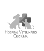 Hospital Veterinário Criciúma