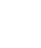 Risovita