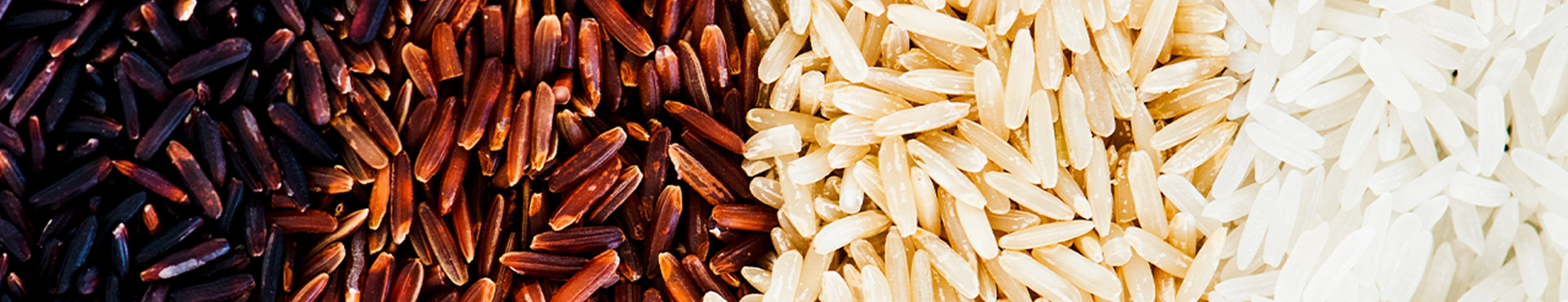 Arroz