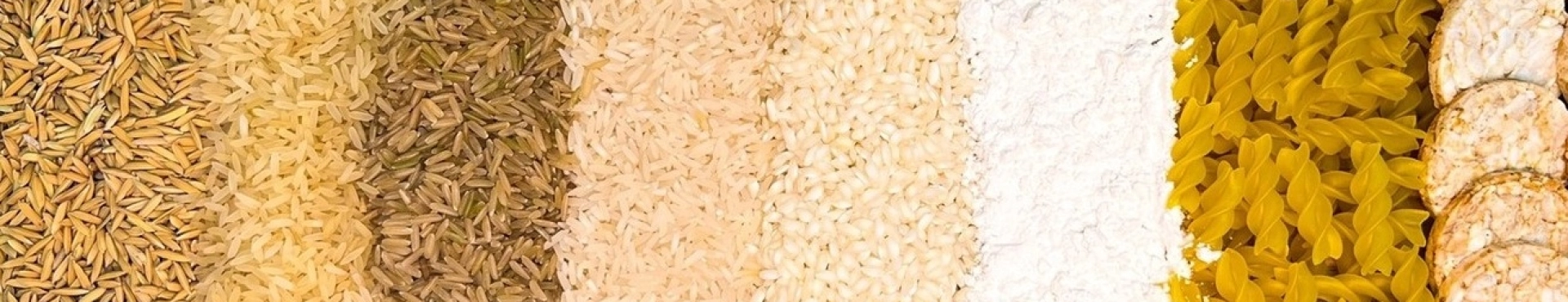 Arroz