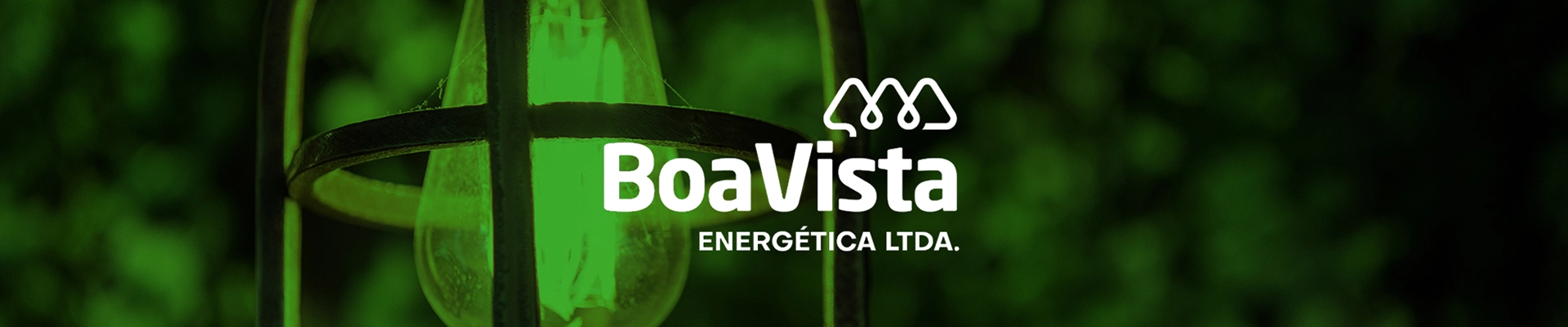 Boa Vista Energ&eacute;tica