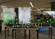 Acic e N&uacute;cleo do Meio Ambiente distribuem mudas de plantas em refor&ccedil;o &agrave; Semana do Meio Ambiente