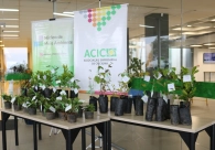 Acic e N&uacute;cleo do Meio Ambiente distribuem mudas de plantas em refor&ccedil;o &agrave; Semana do Meio Ambiente