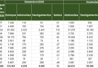 Ano fecha com saldo positivo na gera��o de empregos