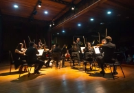 Camerata di Venezia estreia nova s�rie de concertos 