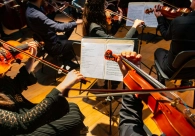 Camerata di Venezia estreia nova s�rie de concertos 