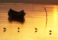 Celebrando dez anos, Cultura Acic inicia ações de 2025