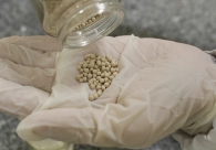 Como o carv�o pode estar presente na sua casa, na sua mesa e nos seus aparelhos eletr�nicos � e at� nos carros el�tricos.