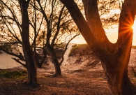 Cultura Acic apresenta a exposi&ccedil;&atilde;o Portais