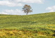 Cultura Acic apresenta a exposi&ccedil;&atilde;o Portais