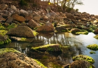 Cultura Acic apresenta a exposi&ccedil;&atilde;o Portais