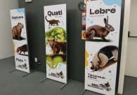 Cultura Acic recebe Mostra ESG & Biodiversidade