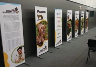 Cultura Acic recebe Mostra ESG & Biodiversidade