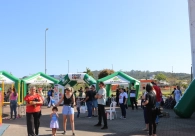 Evento “ODS no Parque” apresenta práticas de sustentabilidade à comunidade